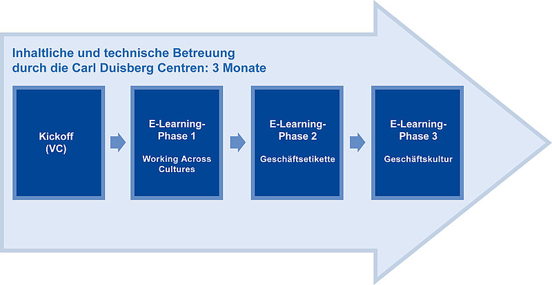 Interkulturelles E-Learning